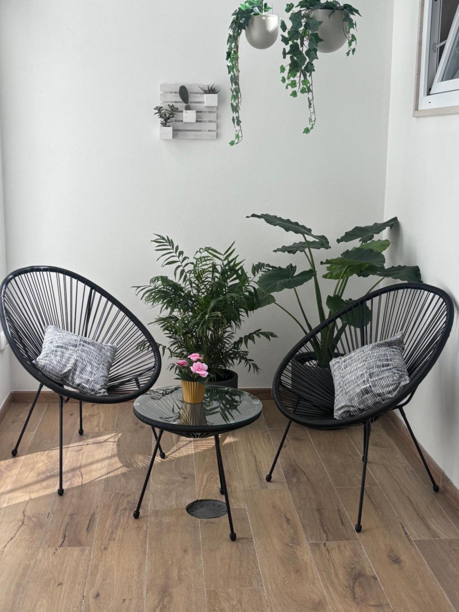 Mimi Guest House باري المظهر الخارجي الصورة